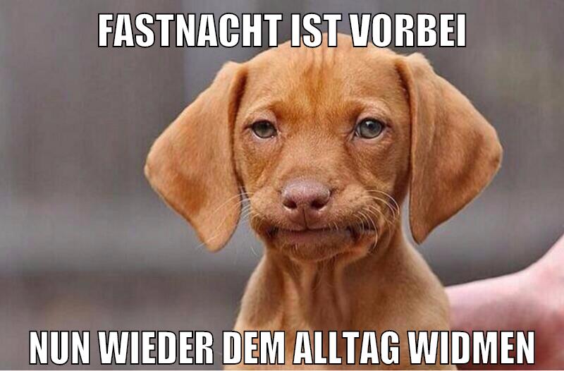 Fastnacht ist vorbei nun wieder dem Alltag widmen