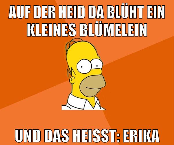 Auf der Heid da blüht ein kleines Blümelein Und das heißt: Erika