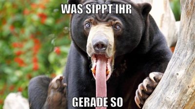 was sippt ihr gerade so