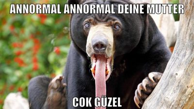 annormal annormal deine mutter cok güzel