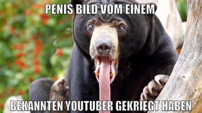 penis bild vom einem bekannten youtuber gekriegt haben