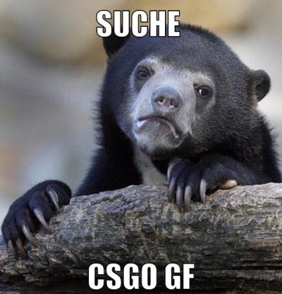 suche csgo gf