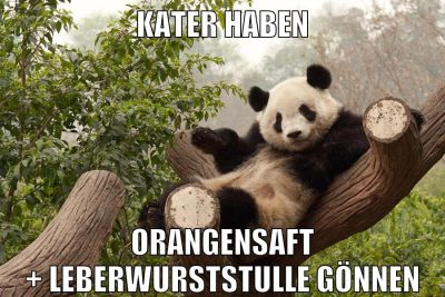 Kater haben Orangensaft + Leberwurststulle gönnen