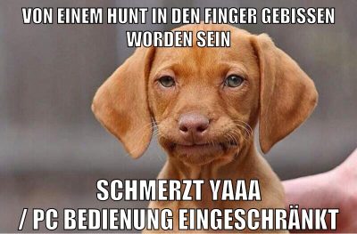von einem hunt in den finger gebissen worden sein schmerzt yaaa / pc bedienung eingeschränkt