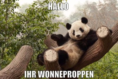 HALLO IHR WONNEPROPPEN