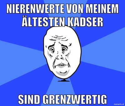 nierenwerte von meinem ältesten kadser sind grenzwertig