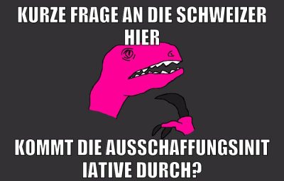 kurze frage an die schweizer hier kommt die ausschaffungsinitiative durch?