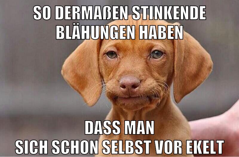 so dermaßen stinkende blähungen haben dass man sich schon selbst vor ekelt