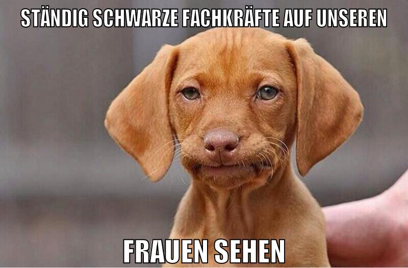 Ständig schwarze Fachkräfte auf unseren frauen sehen
