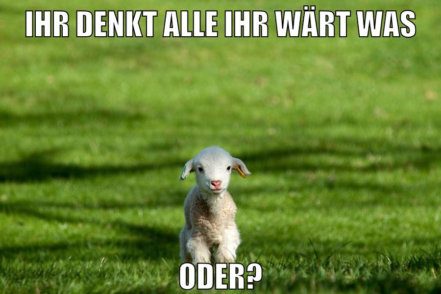 ihr denkt alle ihr wärt was oder?