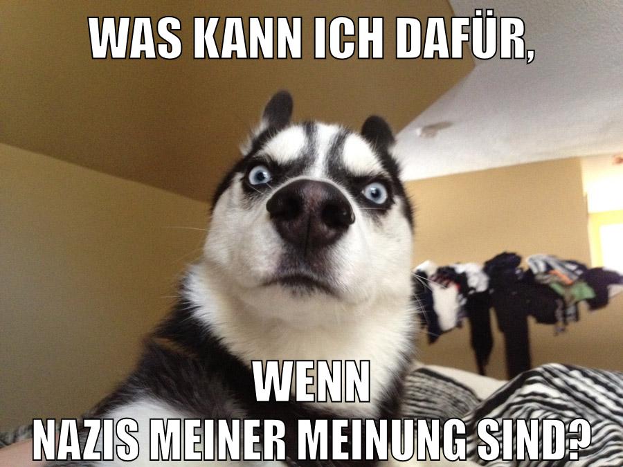 Was kann ich dafür, wenn nazis meiner meinung sind?