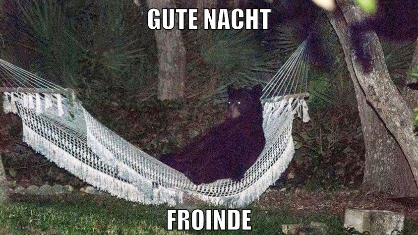 gn
