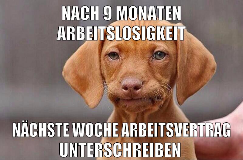 nach 9 monaten arbeitslosigkeit nächste woche arbeitsvertrag unterschreiben