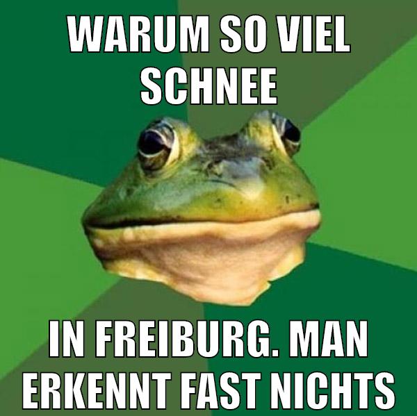 warum so viel schnee in freiburg. man erkennt fast nichts