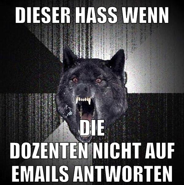 DIESER HASS WENN DIE DOZENTEN NICHT AUF EMAILS ANTWORTEN