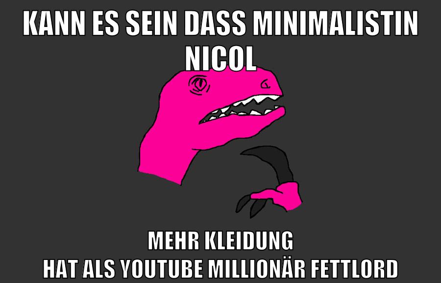 kann es sein dass minimalistin nicol mehr kleidung hat als youtube millionär fettlord