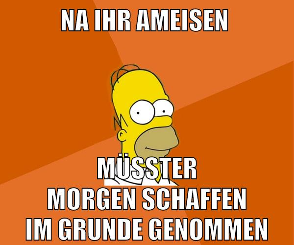 na ihr ameisen müsster morgen schaffen im grunde genommen