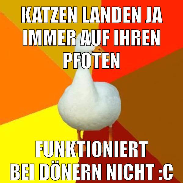 katzen landen ja immer auf ihren pfoten funktioniert bei dönern nicht :c
