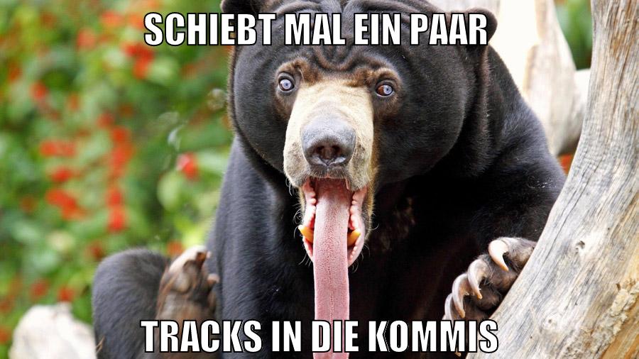 schiebt mal ein paar Tracks in die kommis