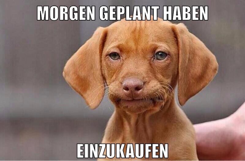 morgen geplant haben einzukaufen