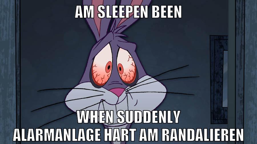 am sleepen been when suddenly alarmanlage hart am randalieren