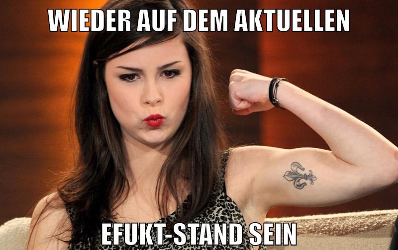 wieder auf dem aktuellen efukt-stand sein