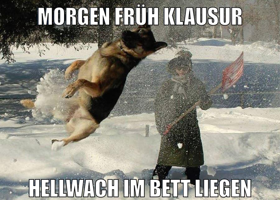 MORGEN FRÜH KLAUSUR HELLWACH IM BETT LIEGEN