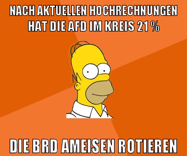 nach aktuellen hochrechnungen hat die afd im kreis 21 % die brd ameisen rotieren