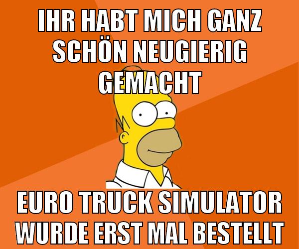 ihr habt mich ganz schön neugierig gemacht euro truck simulator wurde erst mal bestellt