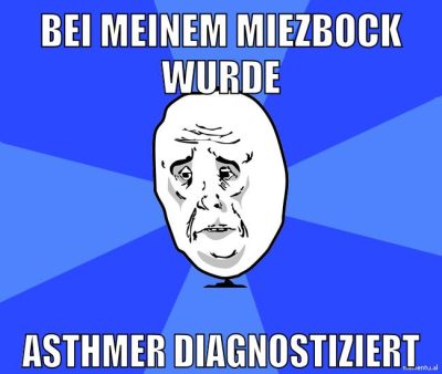 bei meinem miezbock wurde asthmer diagnostiziert