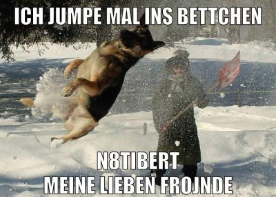 ich jumpe mal ins bettchen n8tibert meine lieben frojnde