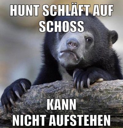 hunt schläft auf schoß kann nicht aufstehen