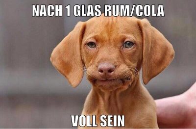 nach 1 glas rum/cola voll sein