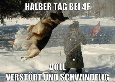 halber tag bei 4f voll verstört und schwindelig