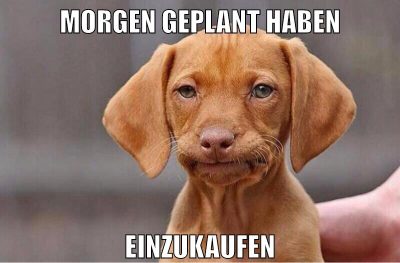 morgen geplant haben einzukaufen