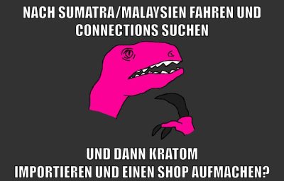 nach sumatra/malaysien fahren und connections suchen und dann kratom importieren und einen shop aufmachen?