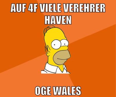 auf 4f viele verehrer haven oge wales