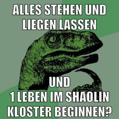 alles stehen und liegen lassen und 1 leben im shaolin kloster beginnen?