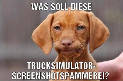 Was soll diese Trucksimulator- screenshotspammerei?