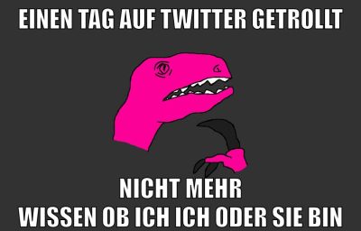 einen tag auf twitter getrollt nicht mehr wissen ob ich ich oder sie bin