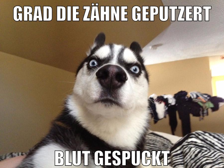 grad die zähne geputzert blut gespuckt