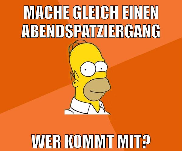 mache gleich einen abendspatziergang wer kommt mit?