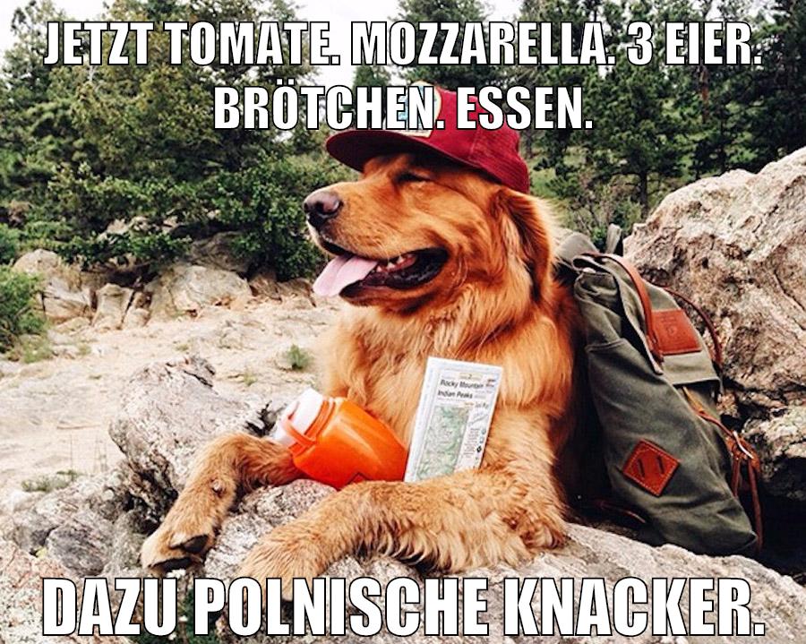Jetzt Tomate. Mozzarella. 3 Eier. Brötchen. Essen. Dazu polnische Knacker.