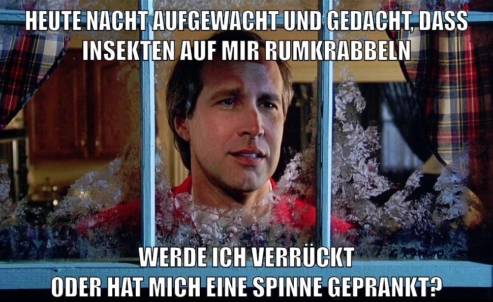heute nacht aufgewacht und gedacht, dass insekten auf mir rumkrabbeln werde ich verrückt oder hat mich eine spinne geprankt?