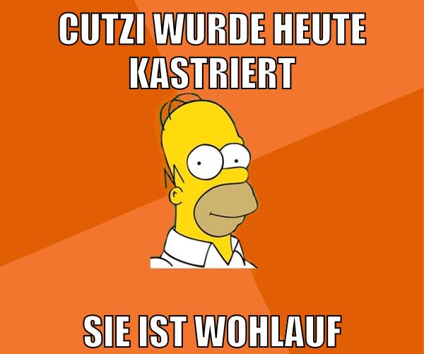 cutzi wurde heute kastriert sie ist wohlauf