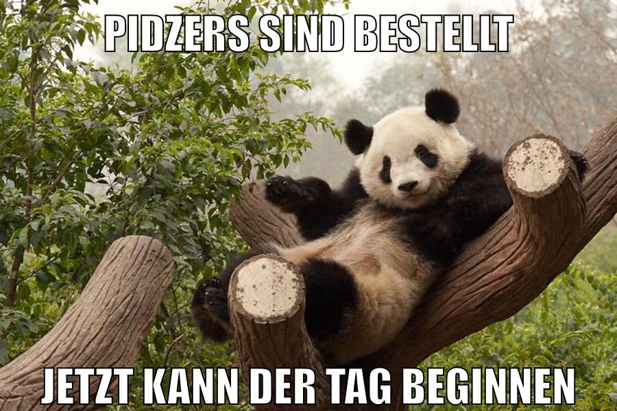 pidzers sind bestellt jetzt kann der tag beginnen