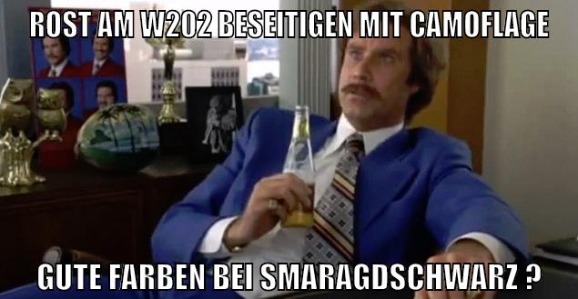 Rost am W202 beseitigen mit Camoflage Gute Farben bei Smaragdschwarz ?