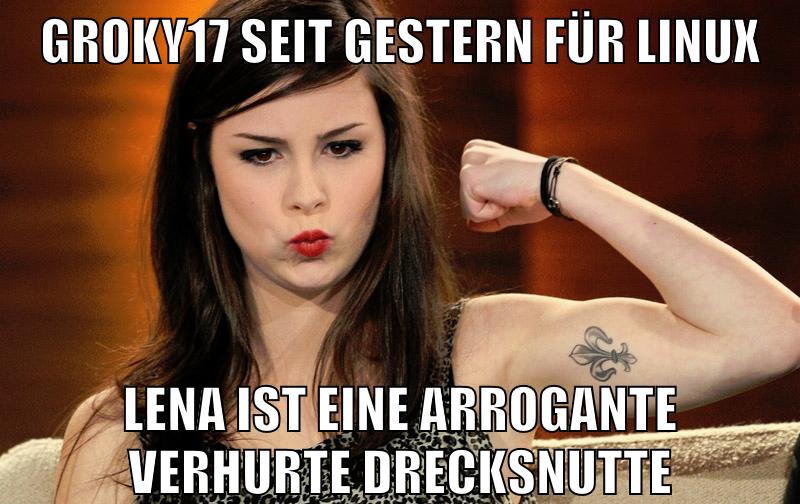 groky17 seit gestern für linux lena ist eine arrogante verhurte drecksnutte