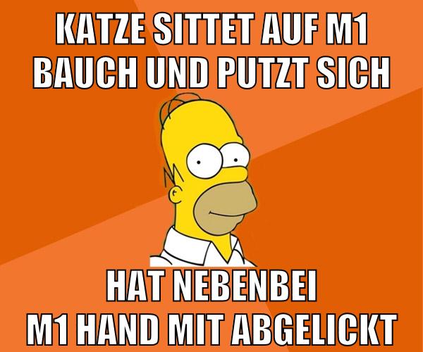 katze sittet auf m1 bauch und putzt sich hat nebenbei m1 hand mit abgelickt