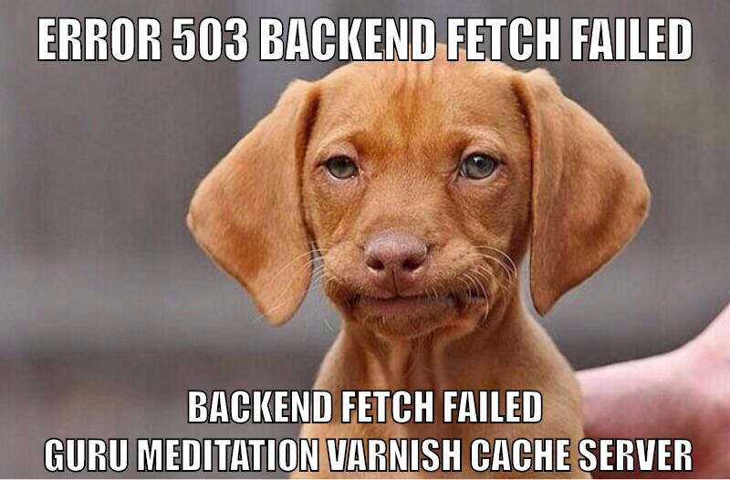 Error 503 Backend fetch failed Backend fetch failed  Guru Meditation Varnish cache server